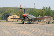 Red Tails