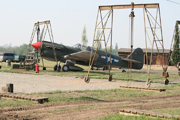 Klikněte pro zvětšení Red Tails